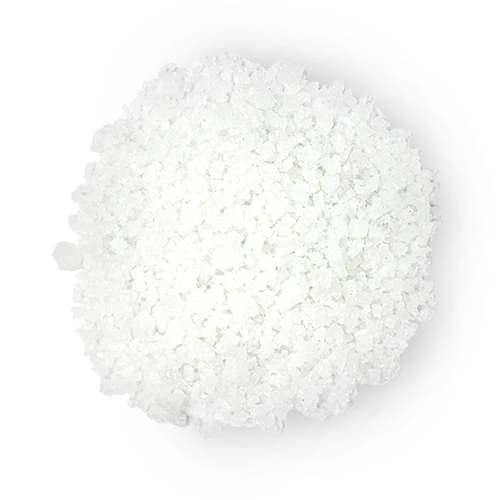 Buy Guérande Fleur de Sel Sea Salt Online Lafayette Spices