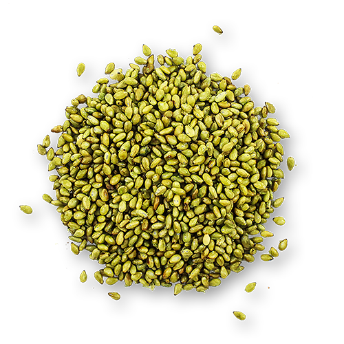 Toasted Sesames Seeds