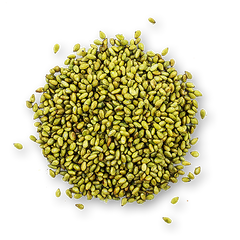 Toasted Sesames Seeds