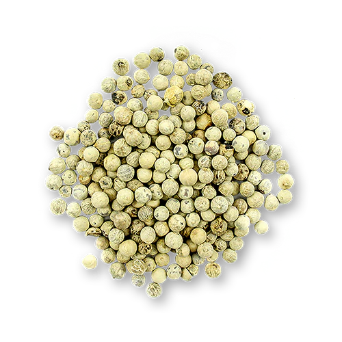 Organic Malabar White Peppercorns Buy Online Lafayette Spices