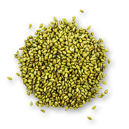 Buy Online Toasted Sesame Seeds Kit in New York