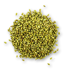 Buy Online Toasted Sesame Seeds Kit in New York