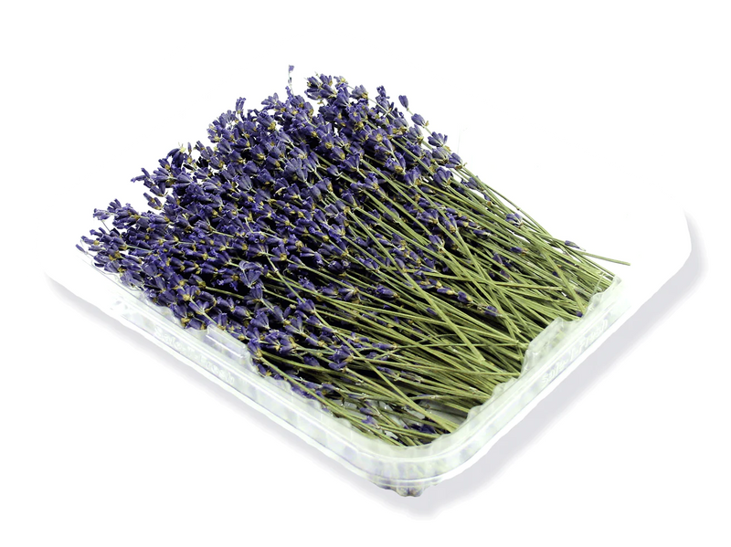 Buy Online True French Lavender Flowers in New York