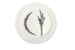 Buy Online True French Lavender Flowers in New York